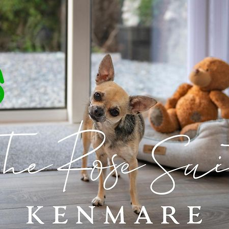 The Rose Suite Kenmare Bagian luar foto