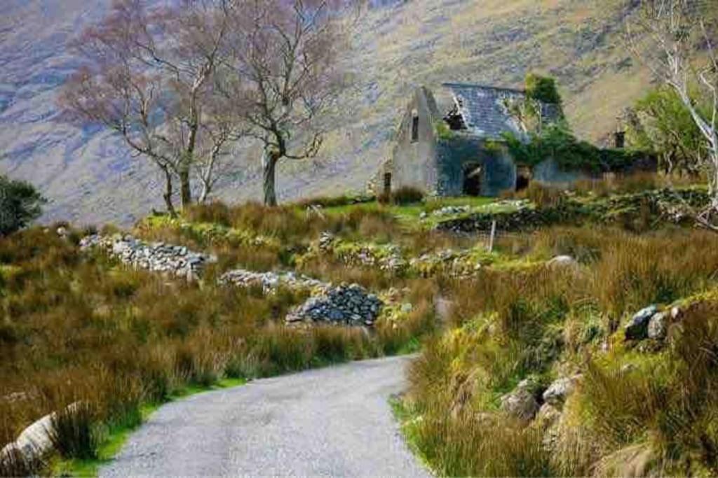 The Rose Suite Kenmare Bagian luar foto